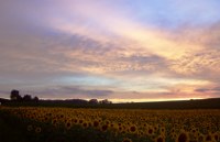 licht-am-himmel Leuchtende Wolken, Diefenbach