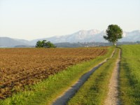 alpenblick-01_200x150