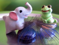 frosch+elefant_197x150