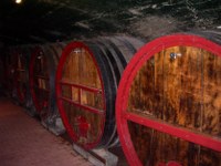 IMGP1603_200x150 Weinkeller in Burgund