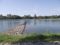 Rheinufer; Blick ins Elsass