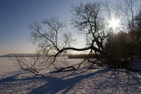 normal_009-Winterimpressionen_200x133 Winterlandschaft