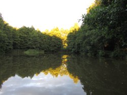 abend-am-waldsee_250x188