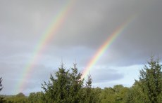 regenbogen012011_230x147