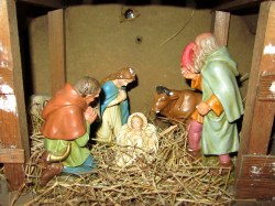 Krippe - privat_250x187